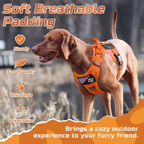 rabbitgoo Tactical Dog Harness for Large, No Pull Military Service Vest - Image 3