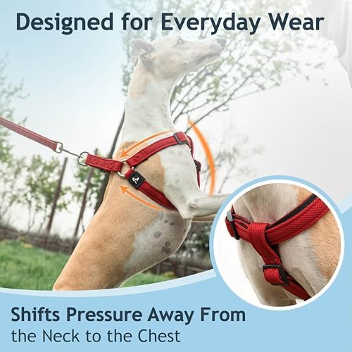 Kruz No Pull Dog Harness Heavy-Duty Pet Harness - Image 5