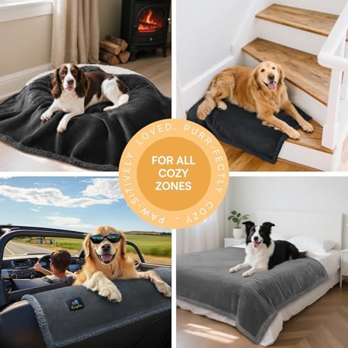 Luciphia Waterproof Bed Blanket Washable, Soft Sherpa Fleece Puppy Reversible - Image 3