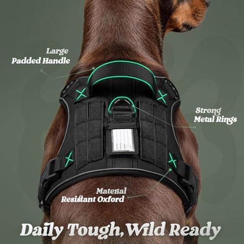 rabbitgoo Tactical Dog Harness Medium Sized, No Pull Service Pet Vest - Image 6