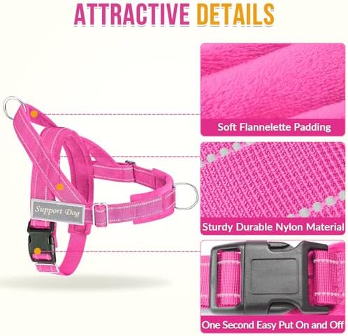 Lukovee No Pull Dog Harness and Leash Set, Soft Padded - Image 4
