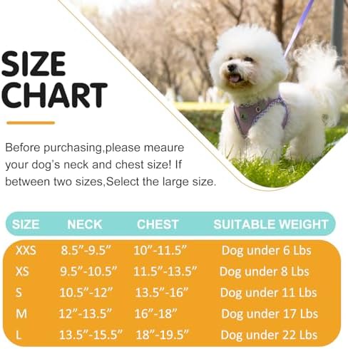 Dog Harness and Leash Set, No Pull Pet Harness - Image 6