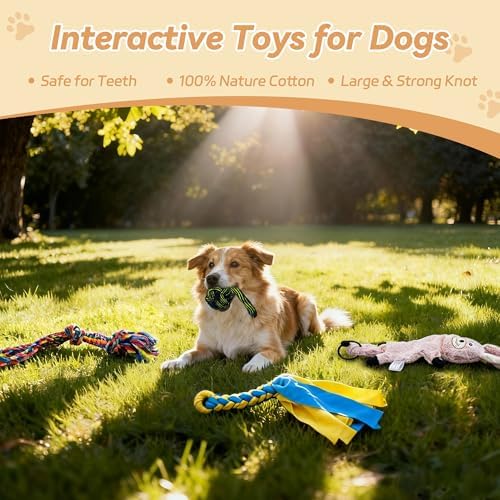 Flirt Pole for Dogs, Interactive Toys Tug-of-war for Pet, Durable Teaser Wand - Image 5