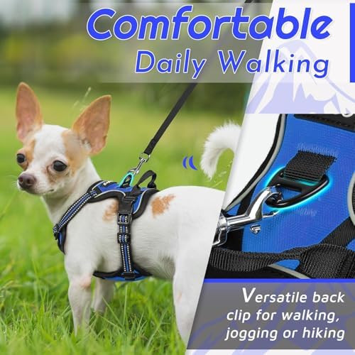 Eagloo Dog Harness for Small Dogs, No Pull Pet Vest - Image 3