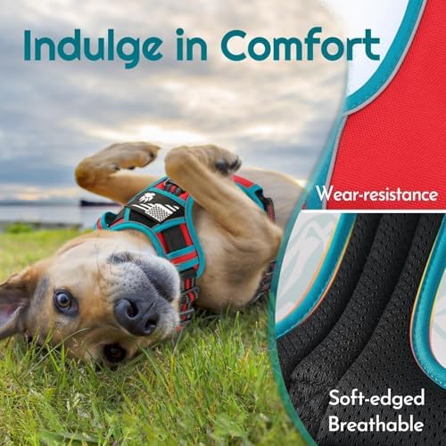 Eagloo Dog Harness No Pull for Medium Dogs, Easy On & Off - Image 6