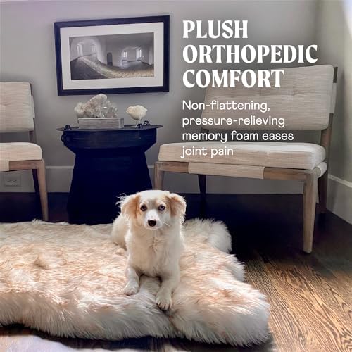 PAW BRANDS PupRug Orthopedic Memory Foam Dog Bed - Image 4