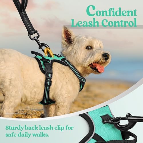 rabbitgoo Dog Harness, No Pull for Small Dogs - Image 6