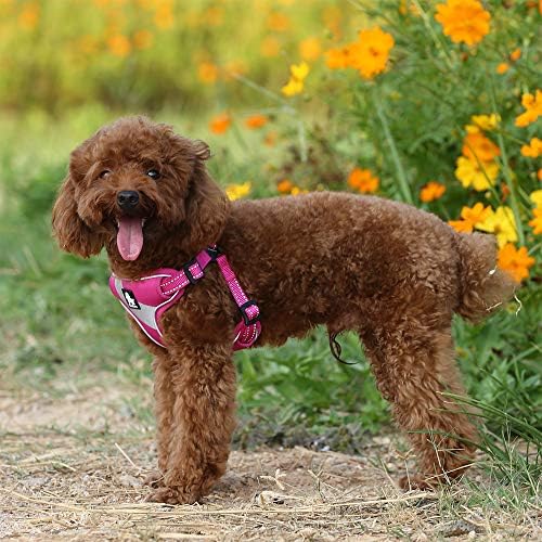 TRUE LOVE Step-in Dog Harness, Reflective, Breathable - Image 6