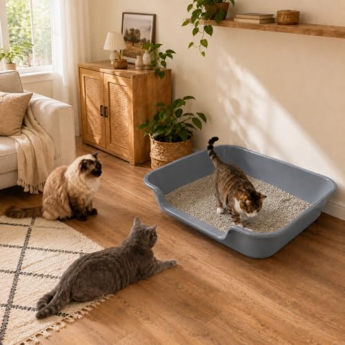 Extra Large Low Entry ABS Cat Litter Box, 2 Pack - Image 3