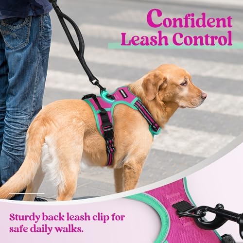 rabbitgoo Dog Harness, No Pull for Small Dogs - Image 6