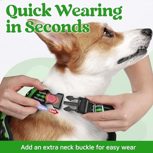 rabbitgoo Dog Harness Small Sized, No Pull 3 Buckles Easy On & Off - Image 2