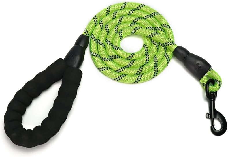 Dog Leash by Unknown