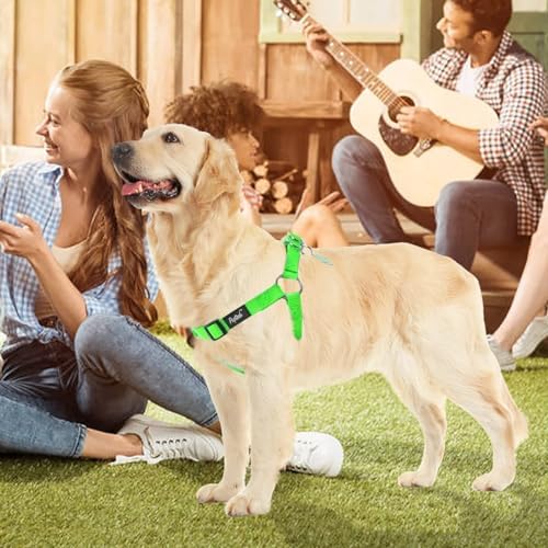 PUPTECK No Pull Dog Harness Large Sized Step-in Adjustable Puppy Vest - Image 6