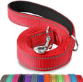 Joytale Reflective Dog Leash for Small Dogs, 5 FT x 3/4" by Joytale