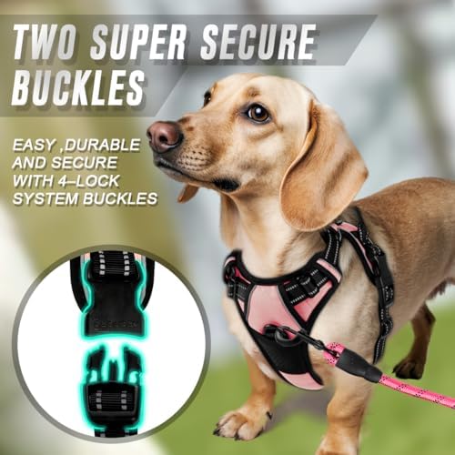 BARKBAY Dog Harness No Pull for Small Sized Dog Front Back Clips, Dog Vest - Image 4