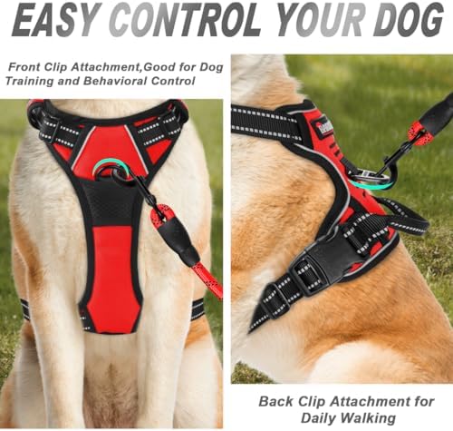 BARKBAY Dog Harness No Pull for Medium Sized Dog Front Back Clips, Dog Vest - Image 2