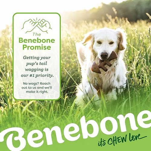 Benebone Small 4-Pack Dog Toys for Aggressive Chewers – Under 30 lbs - Image 7