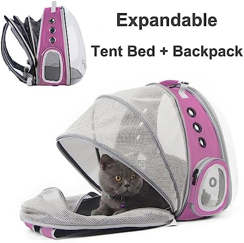 Expandable Pink Cat Backpack Carrier, Fit up to 12 lbs, Space Capsule Clear - Image 3