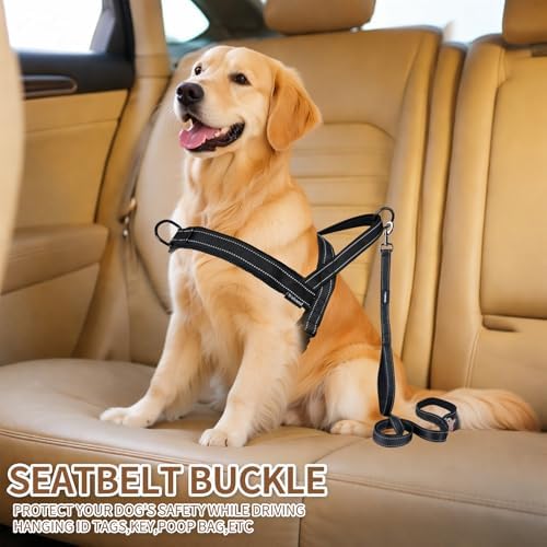 No Pull Dog Harness & 5FT Leash Set - Image 5