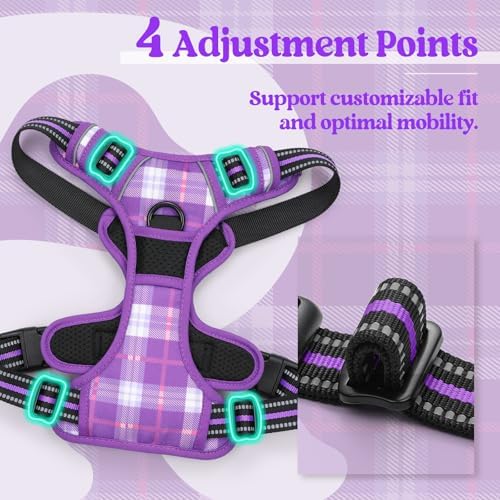 rabbitgoo Dog Harness, No Pull for Large Dogs - Image 4