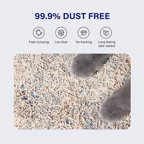 HONEY CARE Petrichor Mix Cat Litter I Tofu Cat Litter I Nature Plant-Based - Image 3