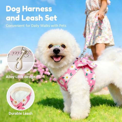 BAEJMJK Dog Harness and Leash Set - Image 7