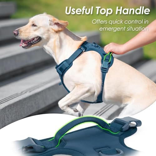 Sunraymascota No Pull Dog Harness - Image 6