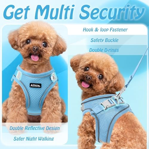 AIITLE Dog Harness and Leash Set, Step-in Puppy Pet Vest, Pure Blue S - Image 6