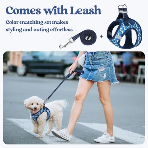 rabbitgoo Dog Harness Small Sized and Leash Set, Step-in Puppy Pet Vest - Image 6