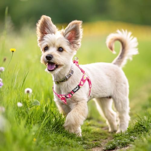 PUPTECK No Pull Dog Harness Medium Sized Step-in Adjustable Puppy Vest - Image 5