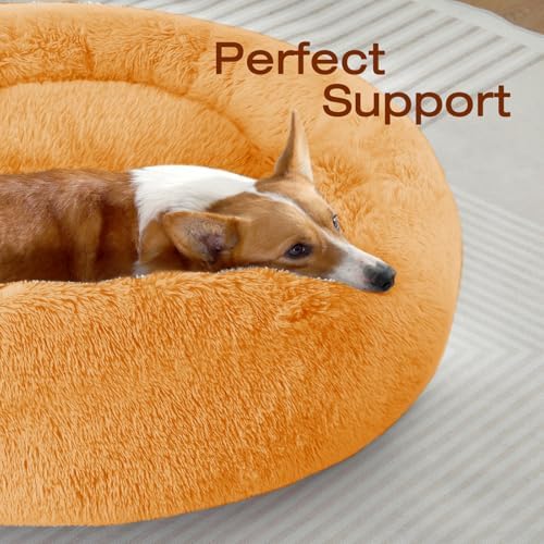 JOLLYVOGUE Dog & Cat Bed, Calming Anti-Anxiety Pet Bed - Image 2