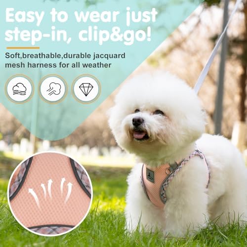 Dog Harness and Leash Set, No Pull Pet Harness - Image 2