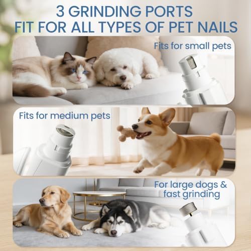 Dog Electric Nail Clippers & Grinder - Image 7