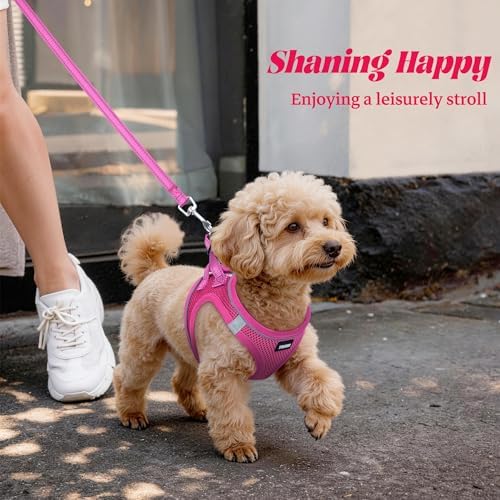 No Pull Dog Puppy Harness and Leash Set Reflective Mesh Vest Small - Image 6