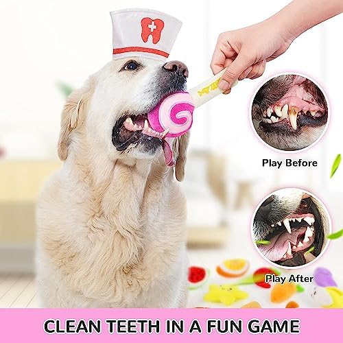 LEGEND SANDY Dog Squeaky Toys, Plush Small Dog Toys - Image 4