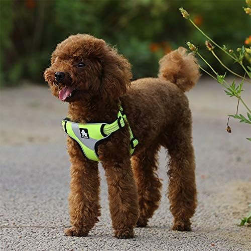 TRUE LOVE Step-in Dog Harness, Reflective, Breathable, Neon Yellow - Image 5