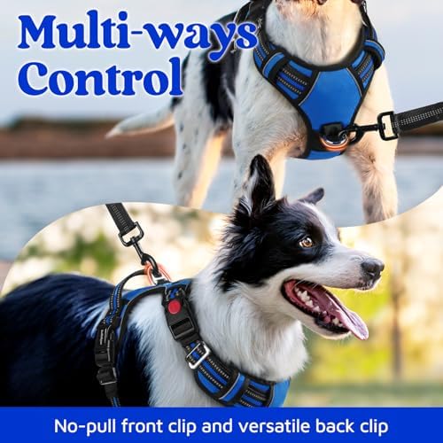 rabbitgoo Dog Harness for Large, No Pull 3 Buckles Easy On & Off - Image 3