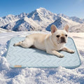 PPOLCA Waterproof Cooling Mat for Medium Dogs 21x29 by PPOLCA