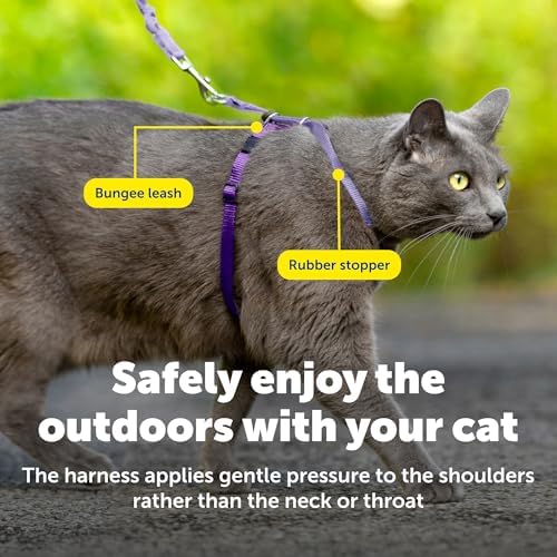 PetSafe Come With Me Kitty Harness and Bungee Leash, Harness - Image 6