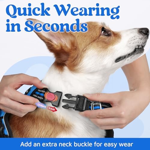 rabbitgoo Dog Harness Small Sized, No Pull 3 Buckles Easy On & Off - Image 2