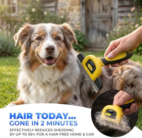 DakPets Stainless Steel Deshedding and Dematting Tool | Professional Pet - Image 2