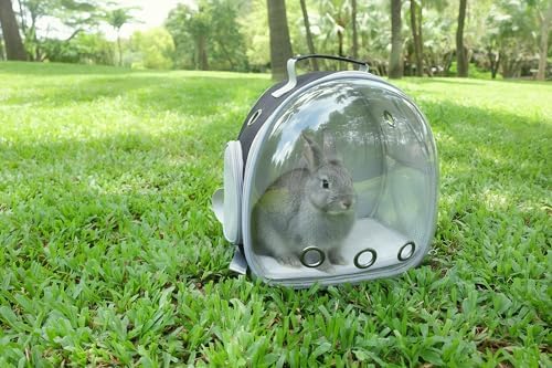 Small Animal Carrier Guinea Pig Backpack, Transparent, Breathable Backpack - Image 5
