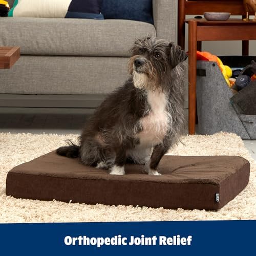 BarkBox Orthopedic Dog Bed - Image 6