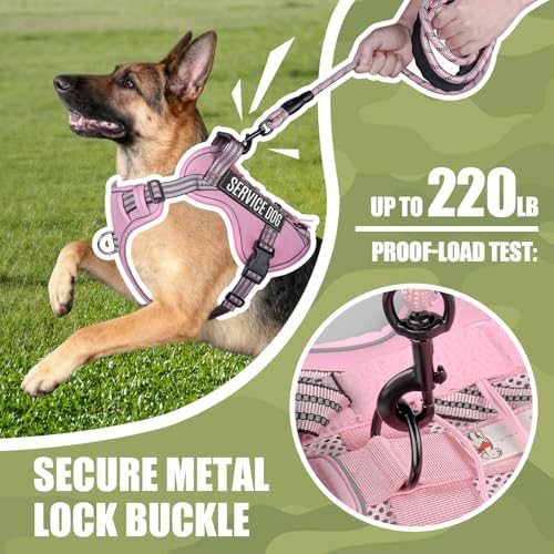 Dog Harness and Leash Set for X-Large Dogs, No Pull Tactical Dog Harness - Image 4