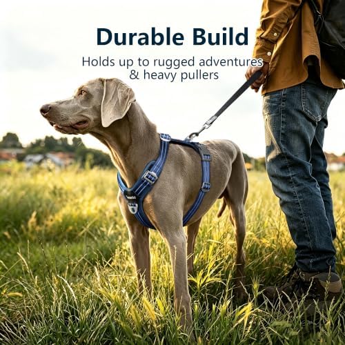 No Pull Dog Vest Harness Large Medium Small Sized Dog Friendly - Image 6