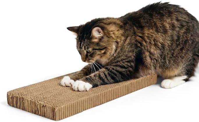 EveryYay by Petco Scratchin' the Surface Double-Wide Cardboard Refills - Image 7