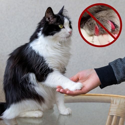 Dimeho 42 Pcs Pet Nail Grinder Replacement Kit - Image 7