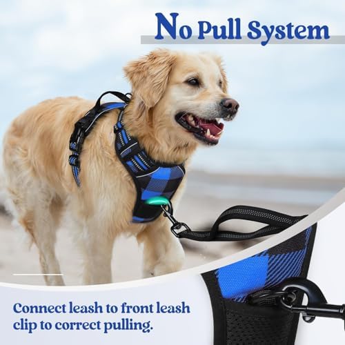 rabbitgoo Dog Harness, No Pull for Small Dogs - Image 5