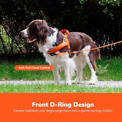 Didog No Pull Dog Harness for Medium Dogs, Breathable Mesh Padded - Image 5