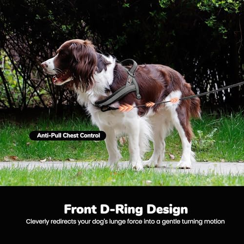 Didog No Pull Dog Harness for Small Dogs, Breathable Mesh Padded - Image 5